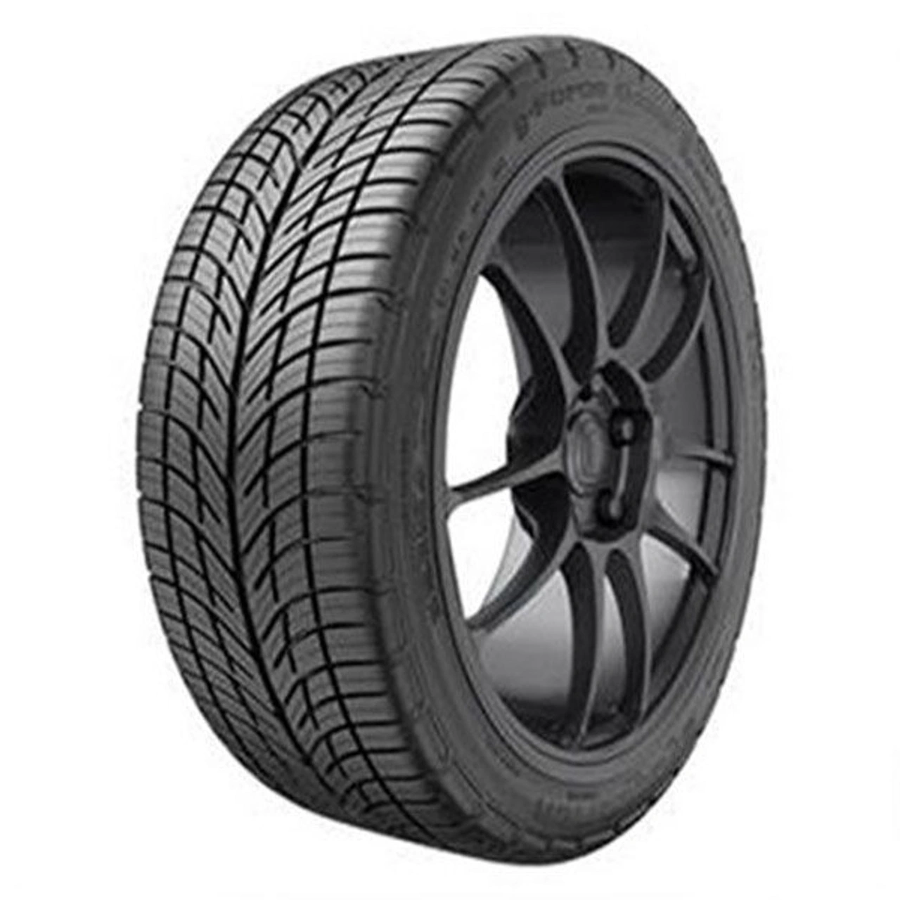 Picture of Maecenas dignsim cumsan semnon felis sagitti